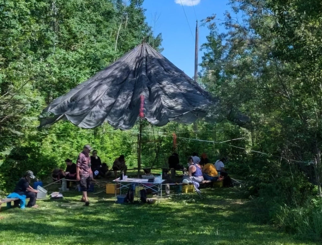 Larch March - Tamarack Is Back. October 4 - 6, 2024 - Nature AliveCourses, Guided Trips