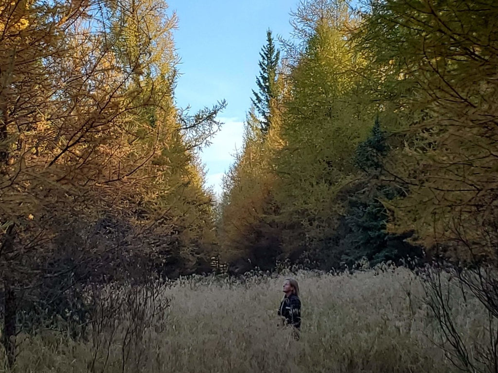 Larch March - Tamarack Is Back - Open House Campout - Nature AliveCourses, Guided Trips