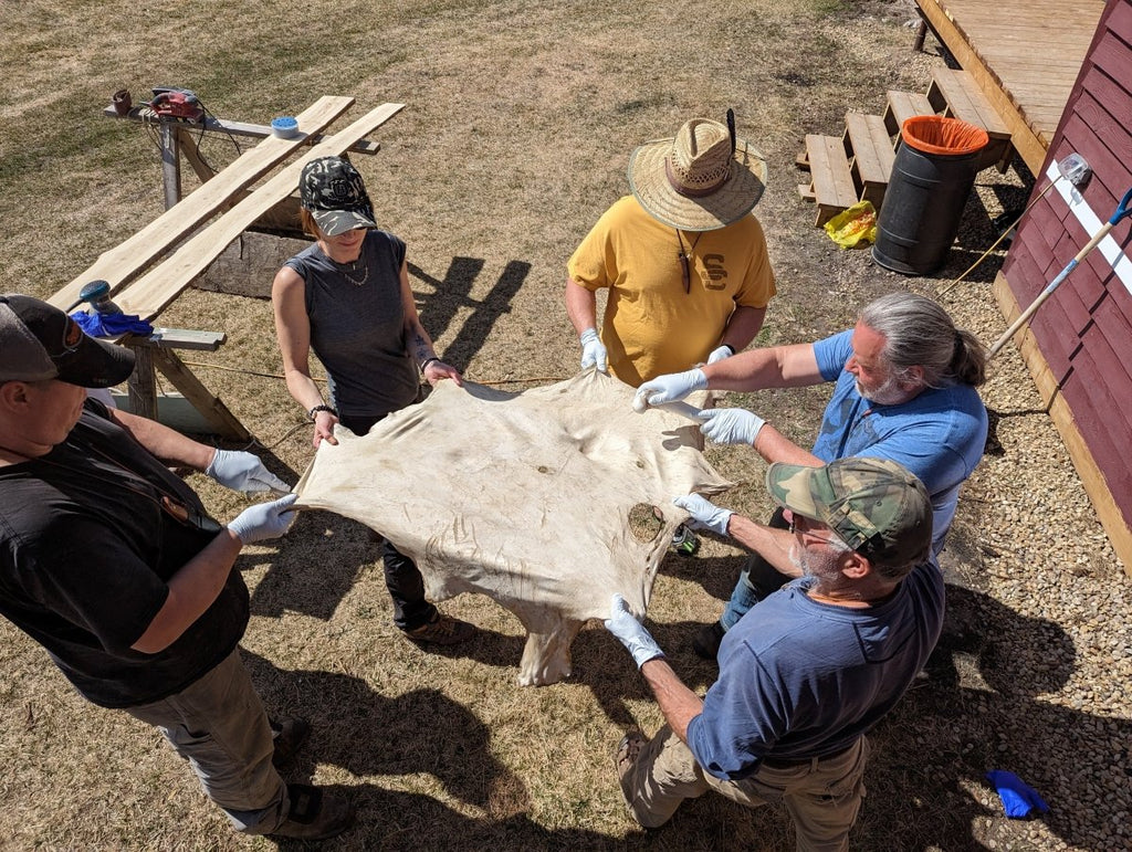 Tanning Deer Hides into Buckskin Leather - At the Rat Root Rendezvous - August 25-27 (Friday to Sunday) - Nature AliveCourses