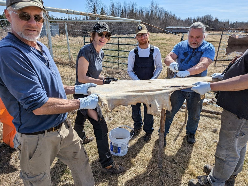 Tanning Deer Hides into Buckskin Leather - At the Rat Root Rendezvous - August 25-27 (Friday to Sunday) - Nature AliveCourses